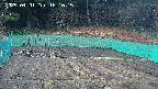 kannonmori-20250401161017.jpg