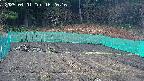 kannonmori-20250401162018.jpg