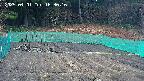 kannonmori-20250401163017.jpg