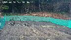 kannonmori-20250401164016.jpg
