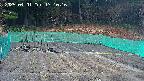 kannonmori-20250401171017.jpg