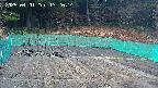 kannonmori-20250401172016.jpg