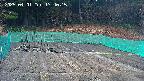 kannonmori-20250401174017.jpg