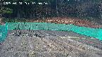 kannonmori-20250401175017.jpg