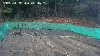 kannonmori-20250402053017.jpg