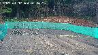 kannonmori-20250402054016.jpg