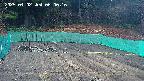 kannonmori-20250402060018.jpg