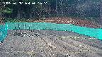 kannonmori-20250402061016.jpg