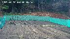 kannonmori-20250402063017.jpg