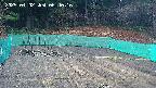 kannonmori-20250402064017.jpg