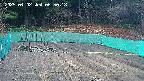kannonmori-20250402065020.jpg
