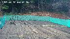kannonmori-20250402070016.jpg