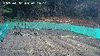 kannonmori-20250402071016.jpg