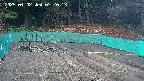 kannonmori-20250402072014.jpg