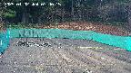 kannonmori-20250402074017.jpg