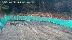 kannonmori-20250402075017.jpg