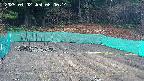 kannonmori-20250402080016.jpg