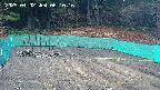 kannonmori-20250402081017.jpg