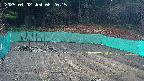 kannonmori-20250402082016.jpg