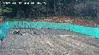 kannonmori-20250402083017.jpg