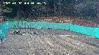 kannonmori-20250402085017.jpg