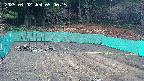 kannonmori-20250402090017.jpg