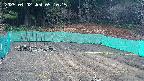 kannonmori-20250402091016.jpg
