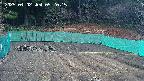 kannonmori-20250402092017.jpg