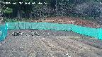 kannonmori-20250402093017.jpg