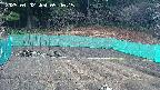 kannonmori-20250402094016.jpg