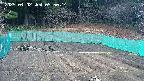 kannonmori-20250402095015.jpg