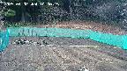 kannonmori-20250402100017.jpg