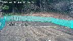 kannonmori-20250402101016.jpg