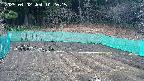 kannonmori-20250402102017.jpg