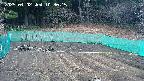 kannonmori-20250402103017.jpg