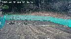 kannonmori-20250402104017.jpg