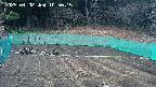kannonmori-20250402105017.jpg