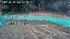kannonmori-20250402110017.jpg