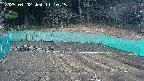 kannonmori-20250402111017.jpg