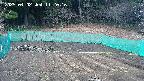 kannonmori-20250402112017.jpg