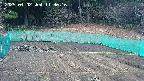 kannonmori-20250402113018.jpg