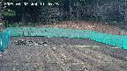 kannonmori-20250402114016.jpg