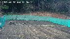 kannonmori-20250402120015.jpg