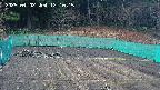 kannonmori-20250402121017.jpg