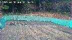 kannonmori-20250402122017.jpg