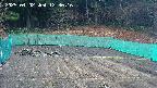 kannonmori-20250402123017.jpg