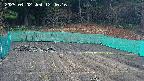 kannonmori-20250402124017.jpg