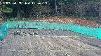 kannonmori-20250402125015.jpg