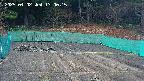 kannonmori-20250402130016.jpg