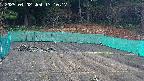 kannonmori-20250402131018.jpg